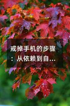 戒掉手机的步骤：从依赖到自由的奇妙之旅