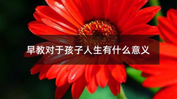 早教对于孩子生活有哪些意义