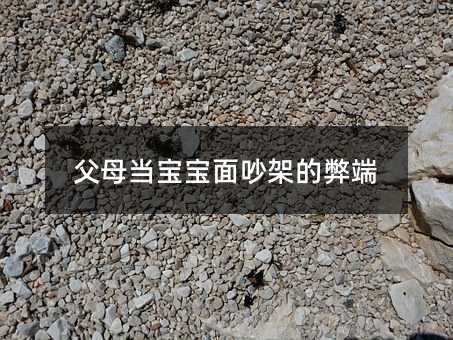 爸爸妈妈当孩子面吵架的弊病