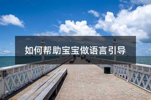 怎么样帮助孩子做语言引导