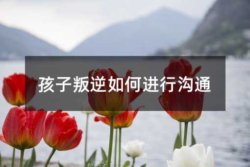 叛逆怎么样进行交流