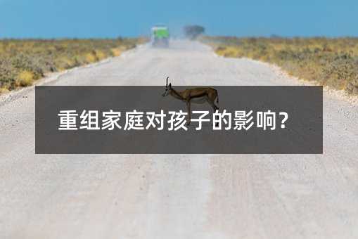 重组家庭对孩子的影响?