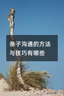 亲子沟通的方法与技巧有哪些