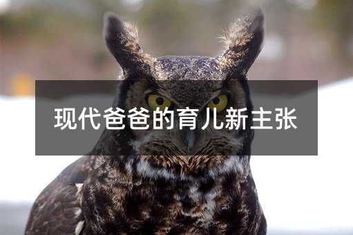 现代父亲的婴幼儿教育新倡导