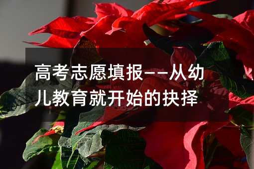 高考志愿填报——从幼儿教育就开始的抉择