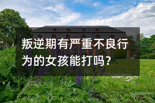 叛逆期有严重不良行为的女孩能打吗?