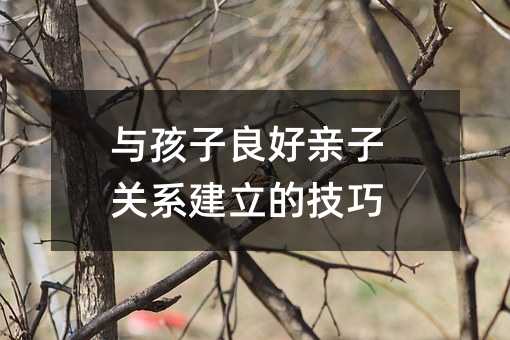与孩子良好亲子关系建立的技巧
