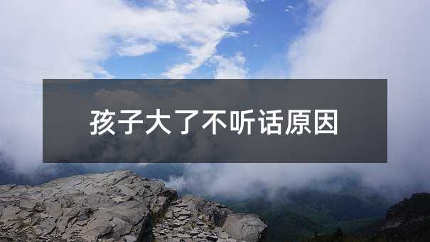 孩子大了不听话原因