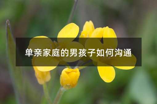 单亲家庭的男孩子如何沟通
