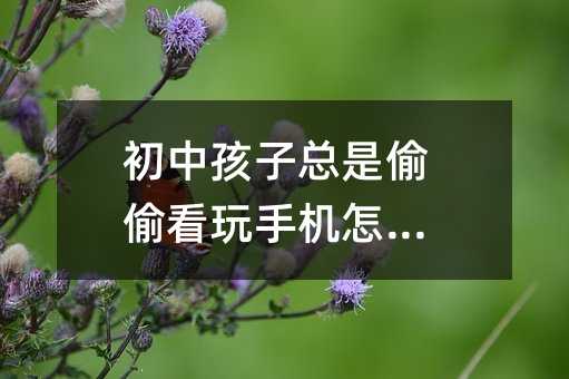 初中孩子总是偷偷看玩手机怎么办