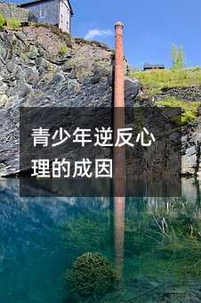 青少年逆反心理的成因