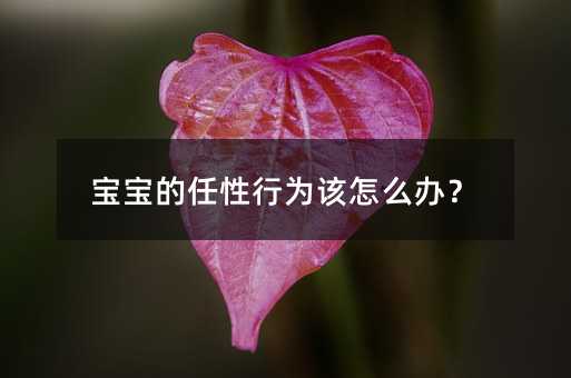宝宝的任性行为该怎么办？