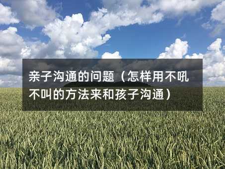 亲子沟通的问题(怎样用不吼不叫的方法来和孩子沟通)