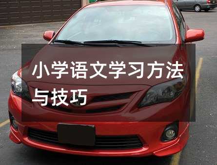 小学语文学习技巧与方法
