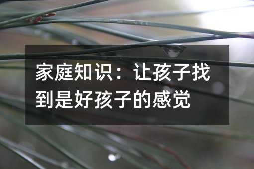 家庭知识:让孩子找到是好孩子的感觉