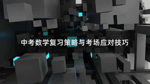中考数学复习策略与考场应对技巧