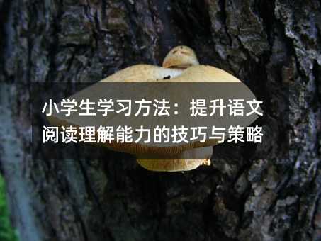 小学生学习方法:提升语文阅读理解能力的技巧与策略