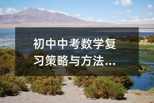 初中中考数学复习策略与方法优化