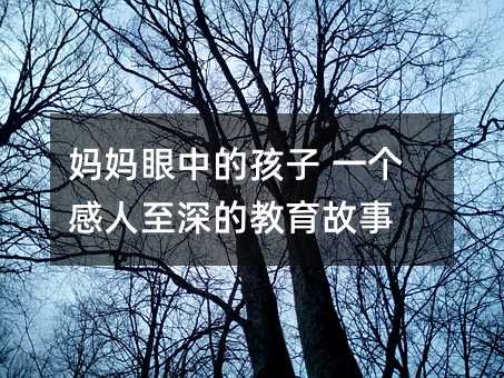 妈妈眼中的孩子 一个感人至深的教育故事
