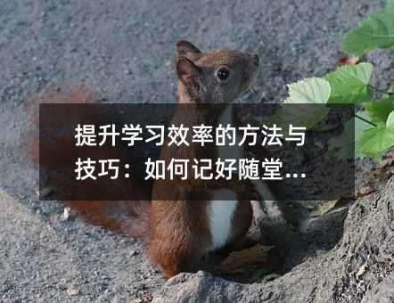 提升学习效率的方法与技巧：如何记好随堂笔记