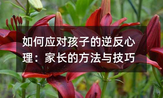 如何应对孩子的逆反心理:家长的方法与技巧