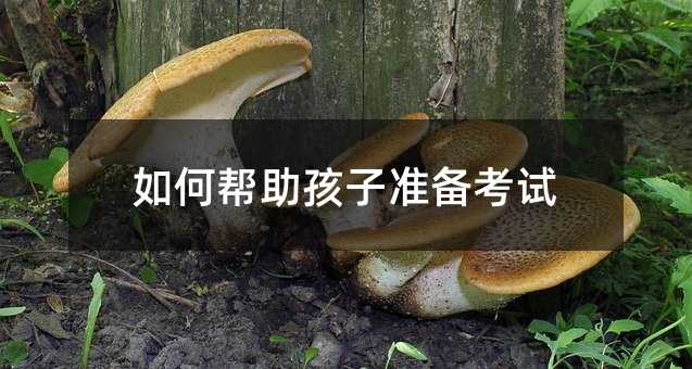 怎么样帮助孩子筹备考试