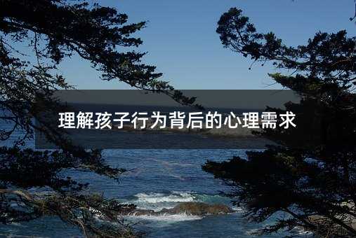 理解孩子行为背后的心理需求