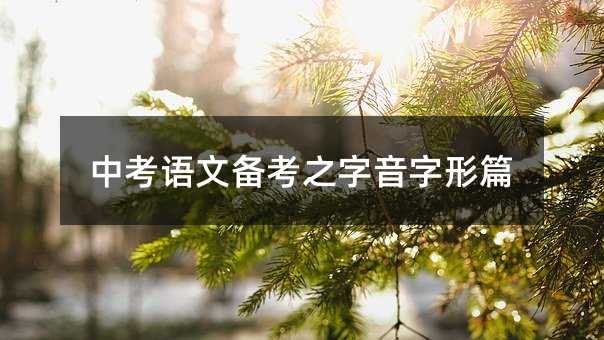 中考语文备考之字音字形篇