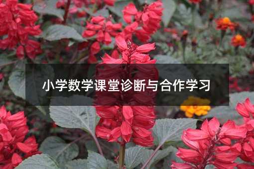 小学数学课堂诊断与合作学习
