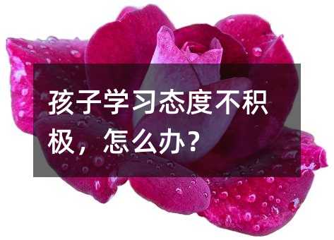 孩子学习态度不积极,怎么办?