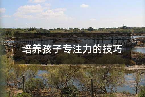 培养孩子专注力的技巧