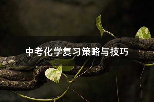 中考化学复习策略与技巧