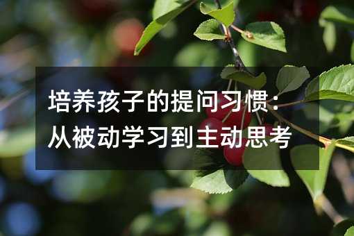 培养孩子的提问习惯:从被动学习到主动思考