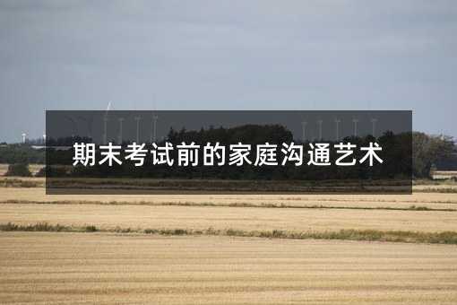 期末考试前的家庭交流艺术