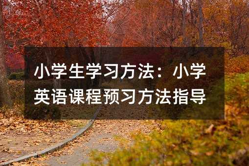 СѧѧϰСѧӢγԤϰָ