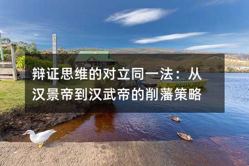 辩证思维的对立同一法：从汉景帝到汉武帝的削藩方案