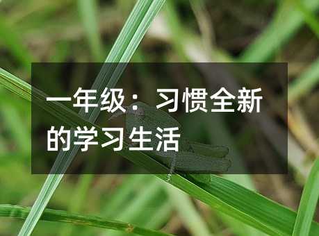 一年级:习惯全新的学习生活