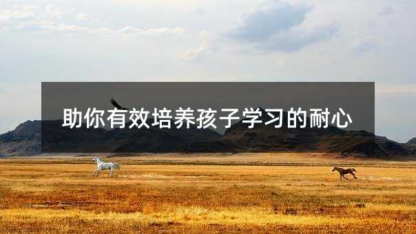 助你有效培养孩子学习的耐心