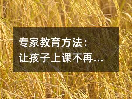专家教育方法: 让孩子上课不再走神