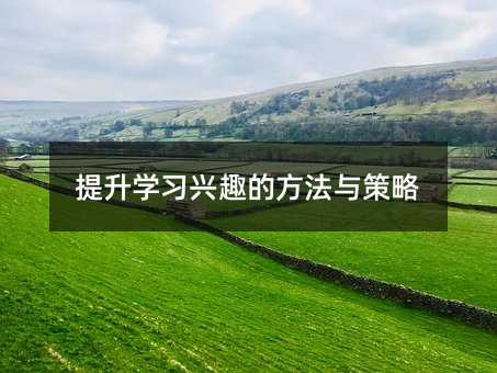 提高学习兴趣的办法与方案