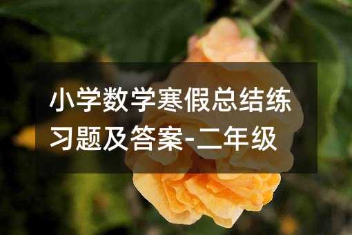 小学数学寒假总结练习题及答案-二年级