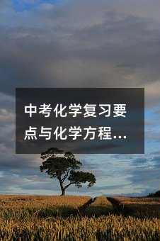中考化学重点复习知识点与化学方程式分析