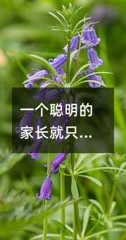 一个聪明的家长就只教给孩子八件事