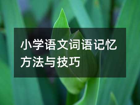 小学语文词语记忆方法与技巧