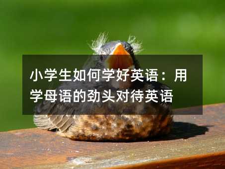 小学生如何学好英语:用学母语的劲头对待英语
