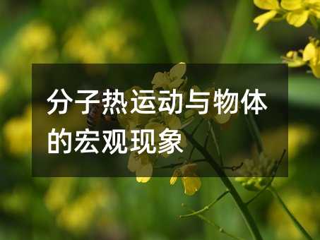 分子热运动与物体的宏观现象