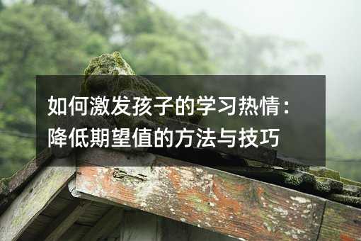 如何激发孩子的学习热情:降低期望值的方法与技巧