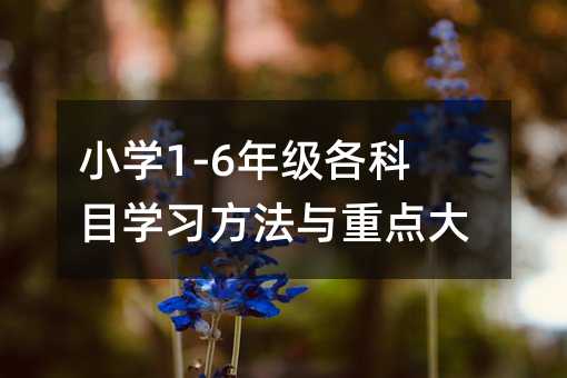 小学1-6年级各科目学习方法与重点大全