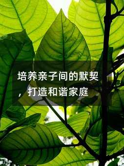 培养亲子间的默契，打造和谐家庭