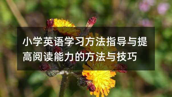 小学英语学习指导与提升阅读能力的办法与方法